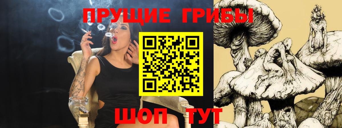 Псилоцибиновые грибы ЛСД  Вход с VPN  Псилоцибиновые грибы мицелий  Ижевск 